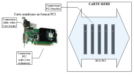 Bus PCI